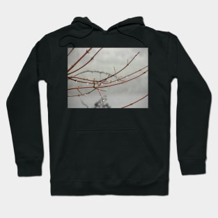 Rain drops on trees Hoodie